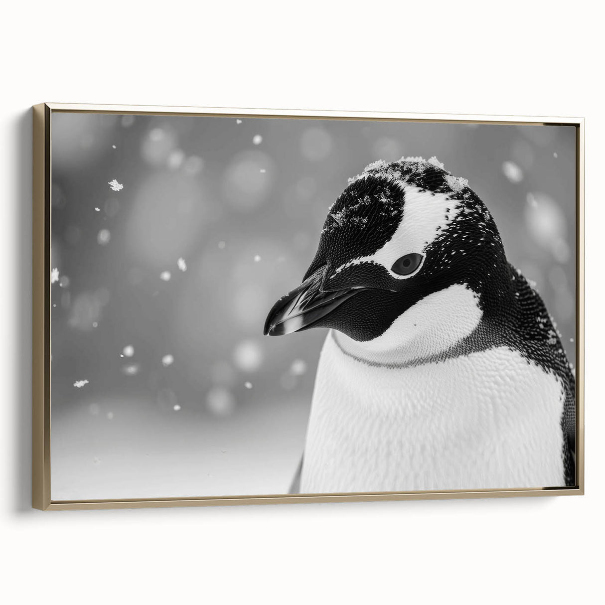 Framed canvas wall art showcasing a side view of a penguin design with a gold frame, perfect for animal lovers and modern home decor enthusiasts.