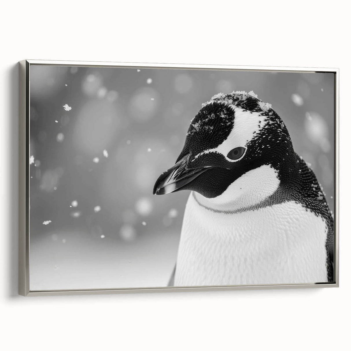 Framed canvas wall art featuring a sleek silver penguin design from the Animals A Wild Life collection, showcasing a side view against a minimalist background. Ideal for modern decor.