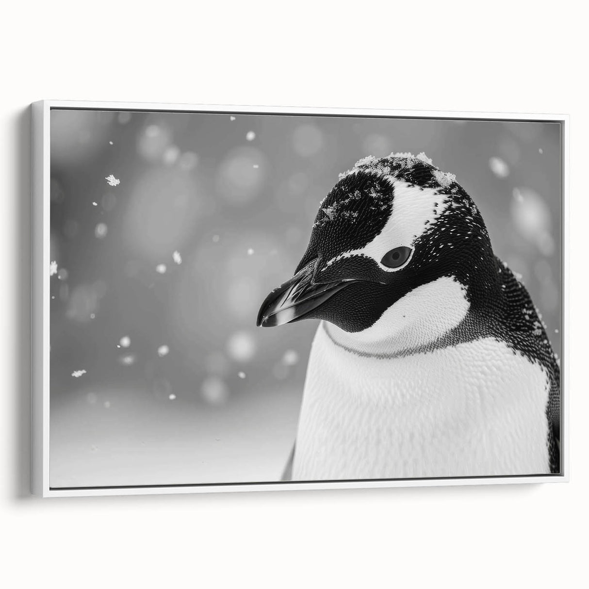 Framed canvas wall art featuring a side view of a playful penguin design, set against a crisp white background, perfect for animal lovers and modern decor enthusiasts.