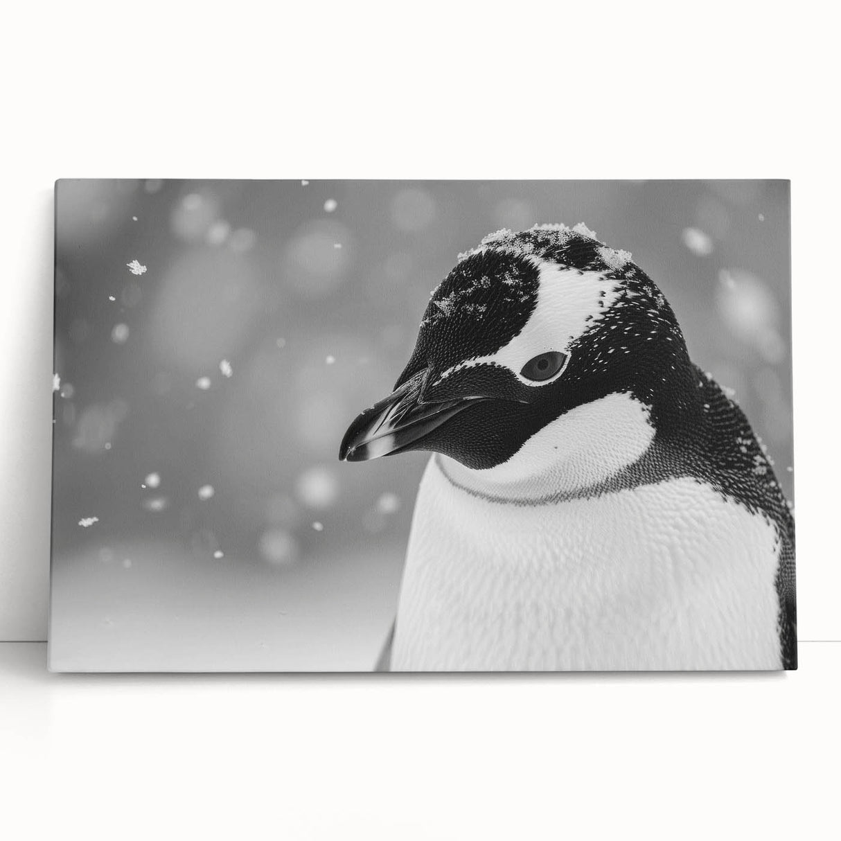 Stretched canvas wall art showcasing a charming penguin design in a playful stance, perfect for animal lovers and children's decor, enhancing any modern space.