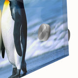 Close-up of a vibrant acrylic glass wall art piece featuring a detailed penguin design, showcasing its unique textures and vivid colors, perfect for animal lovers.