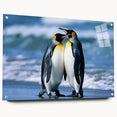 Side view of a penguin-themed wall art piece made of acrylic glass, showcasing vibrant colors and intricate design details, ideal for animal lovers' decor.
