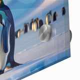 Close-up of a vibrant penguin-themed wall art design, featuring colorful acrylic and glass elements, showcasing detailed textures and wildlife aesthetics. Perfect for animal lovers and modern decor enthusiasts.