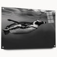 Acrylic glass wall art featuring a side view of a penguin design from the "Animals A Wild Life" collection, showcasing vibrant colors and intricate details ideal for home decor.