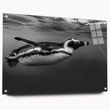 Acrylic glass wall art featuring a side view of a penguin design from the "Animals A Wild Life" collection, showcasing vibrant colors and intricate details ideal for home decor.