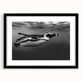 Framed wall art featuring a striking black and white penguin design, set against a textured background, perfect for modern home decor. The black frame enhances the artwork’s elegance, making it an ideal piece for animal lovers and contemporary interiors.