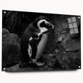 Side view of a penguin-themed wall art piece designed with acrylic glass, featuring vibrant colors and sleek pins for easy hanging, perfect for animal lovers' decor.