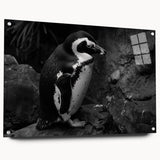 Side view of a penguin-themed wall art piece designed with acrylic glass, featuring vibrant colors and sleek pins for easy hanging, perfect for animal lovers' decor.
