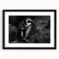 Framed black wall art featuring a stylish penguin design from the "Animals A Wild Life" collection, perfect for modern home decor and animal lovers.