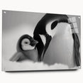 Side view of a penguin-themed acrylic wall art piece showcasing vibrant colors and intricate design details, elegantly displayed with pins for easy mounting. Ideal for animal lovers and modern decor enthusiasts.