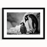 Framed wall art collection featuring a stylish penguin design with a black frame and mat, ideal for enhancing modern home decor with a wildlife theme.