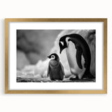 Framed wall art featuring a penguin design from the Animals A Wild Life collection, showcasing a gold mat and elegant frame, perfect for nature-themed decor.