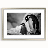 Framed wildlife wall art featuring a silver mat and a penguin design, showcasing intricate details and vibrant colors, perfect for animal lovers and home decor enthusiasts.