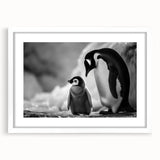 Framed wall art featuring a penguin design from the "Animals A Wild Life" collection, set in a white mat with a sleek front view, ideal for enhancing modern decor.