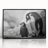 Framed wall art featuring a striking penguin design in a sleek black frame, showcasing vibrant colors and intricate details, perfect for animal lovers and modern decor.
