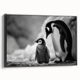 Framed canvas wall art featuring a black and white penguin design, showcasing a side view of the animal in a minimalistic style, perfect for modern home decor.