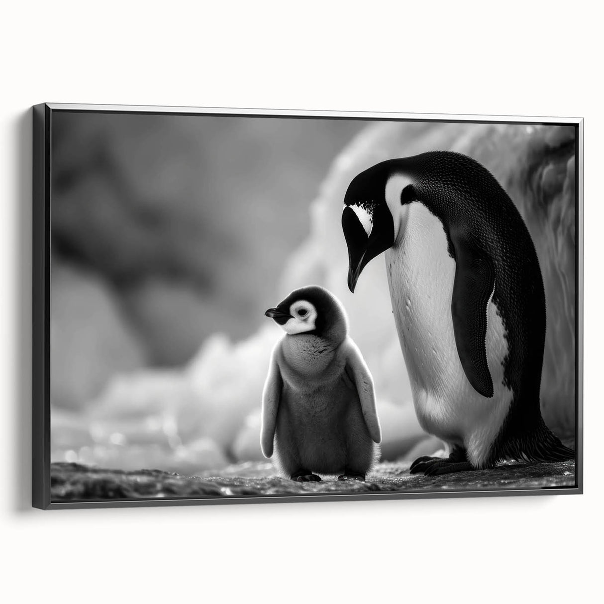Framed canvas wall art featuring a black and white penguin design, showcasing a side view of the animal in a minimalistic style, perfect for modern home decor.