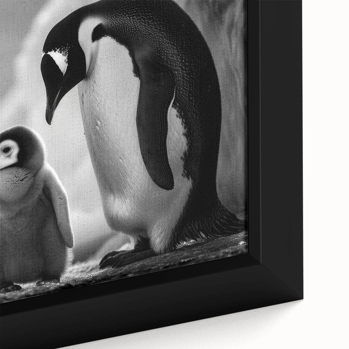 Close-up of a framed canvas wall art featuring a vibrant penguin design, showcasing intricate details and colors, perfect for animal lovers and home decor enthusiasts.