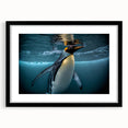 Framed black wall art featuring a stylish penguin design, showcasing intricate details and vibrant colors, ideal for animal lovers and modern decor enthusiasts.
