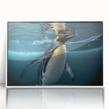 Framed acrylic wall art featuring a vibrant penguin design from a wildlife collection, showcasing colorful details against a sleek white background, ideal for modern decor.