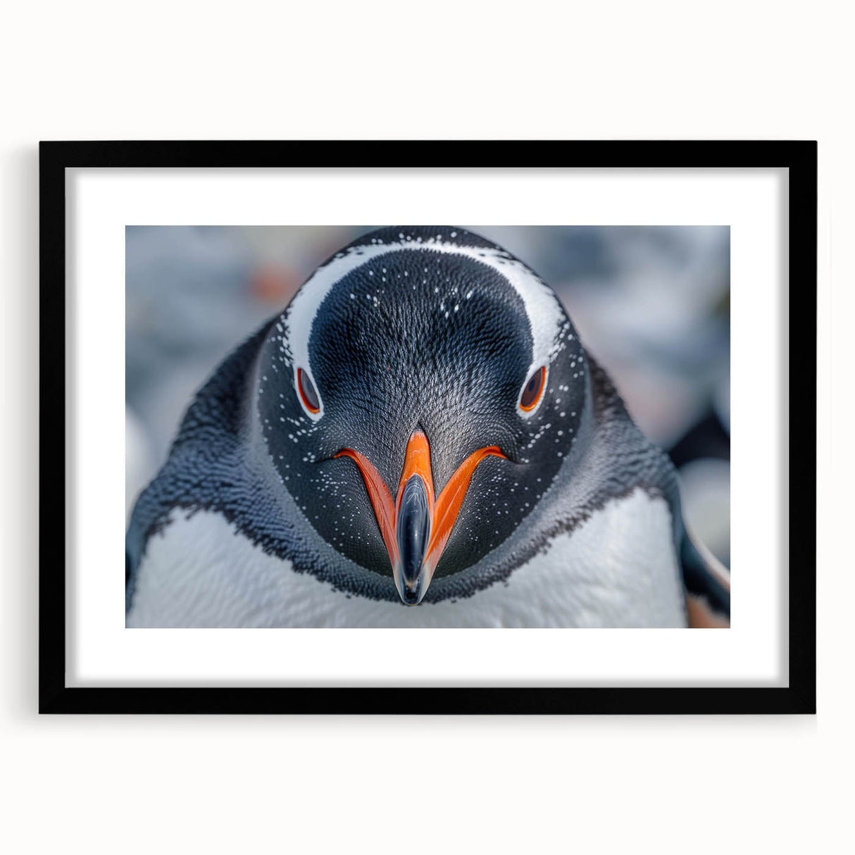 Black-framed wall art showcasing a whimsical penguin design, featuring vibrant colors and playful illustrations, perfect for adding charm to any room decor.