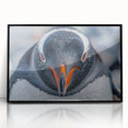 Framed acrylic wall art featuring a stylish penguin design, set against a sleek black background, perfect for modern home decor or animal-themed interiors.