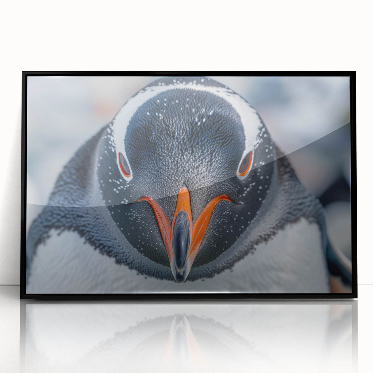 Framed acrylic wall art featuring a stylish penguin design, set against a sleek black background, perfect for modern home decor or animal-themed interiors.
