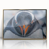 Framed acrylic wall art featuring a penguin design in a gold frame, showcasing a vibrant and modern aesthetic perfect for animal lovers and home decor enthusiasts.