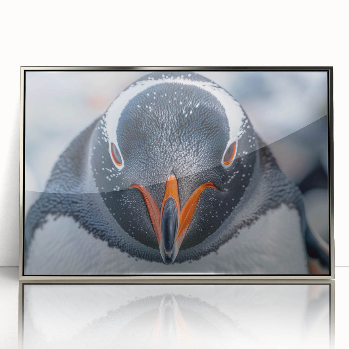 Framed acrylic wall art featuring a stylish silver-front view design of a penguin, showcasing wildlife elegance for modern home decor. Perfect for animal lovers.