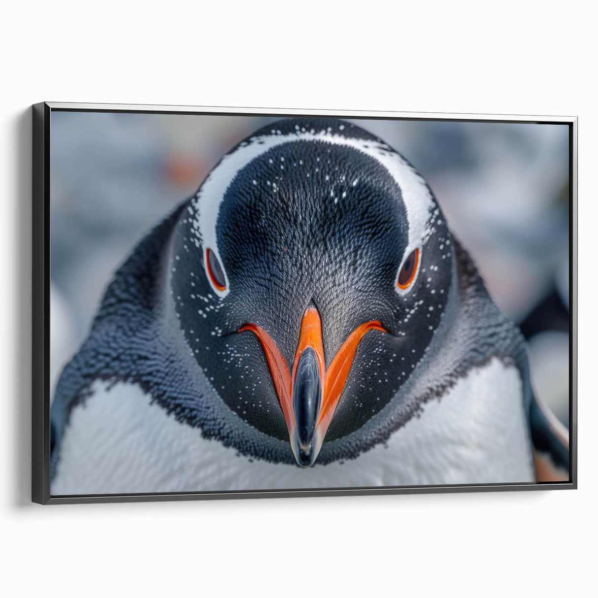 Framed canvas wall art featuring a black and white penguin design, showcasing a side view of the penguin in a minimalist style. Perfect for animal lovers and modern home decor.