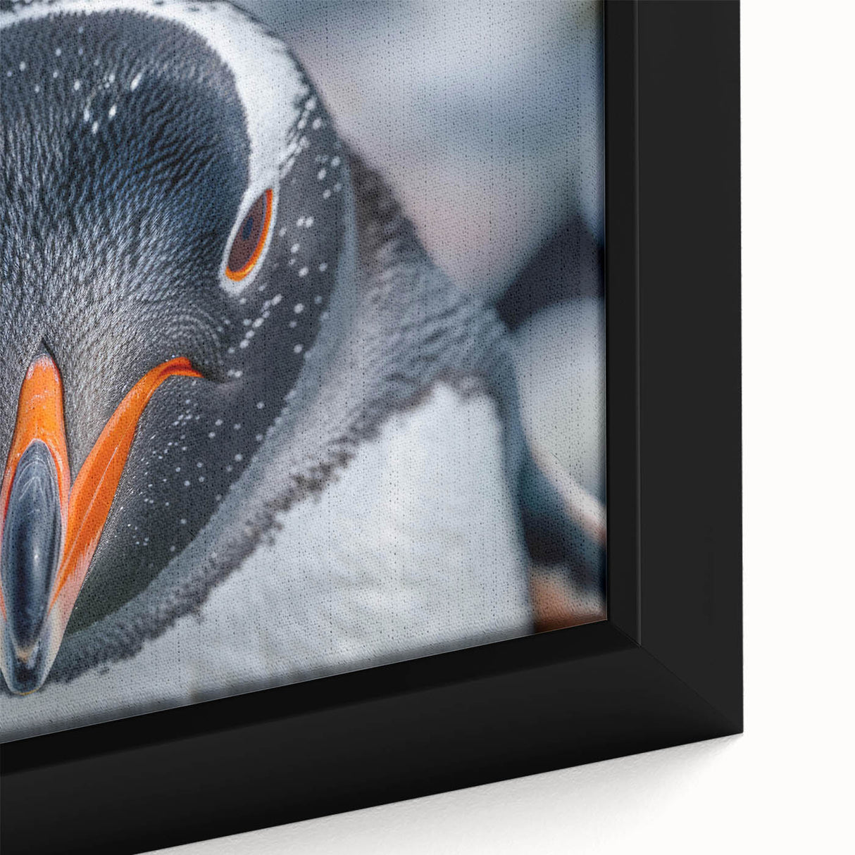 Close-up of a framed canvas wall art featuring a vibrant penguin design from the "Animals of the Wild" collection, showcasing detailed textures and colors, ideal for wildlife enthusiasts.