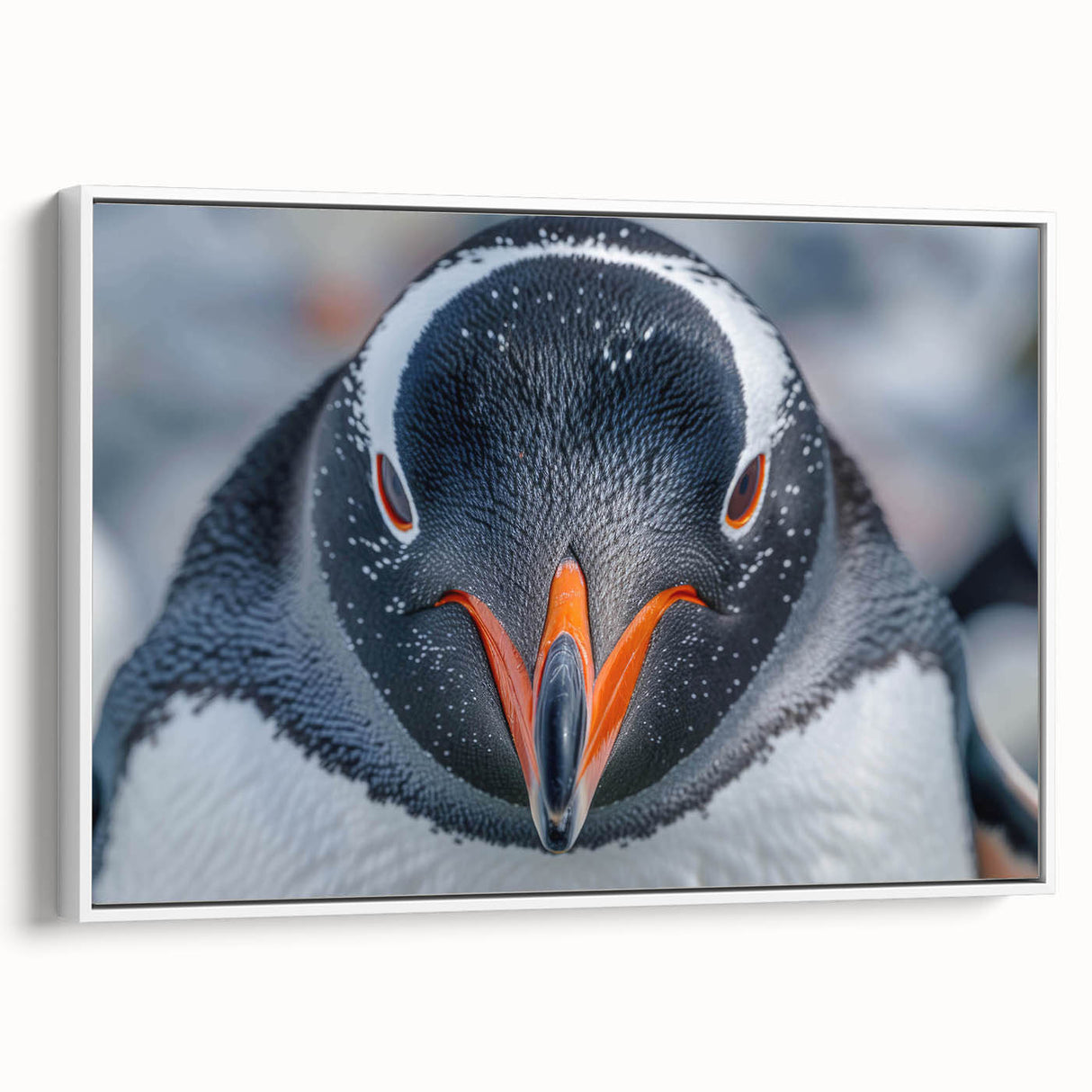 Framed wall art featuring a stylish penguin design on canvas, showcasing vibrant colors and a modern aesthetic, ideal for animal lovers and contemporary decor.