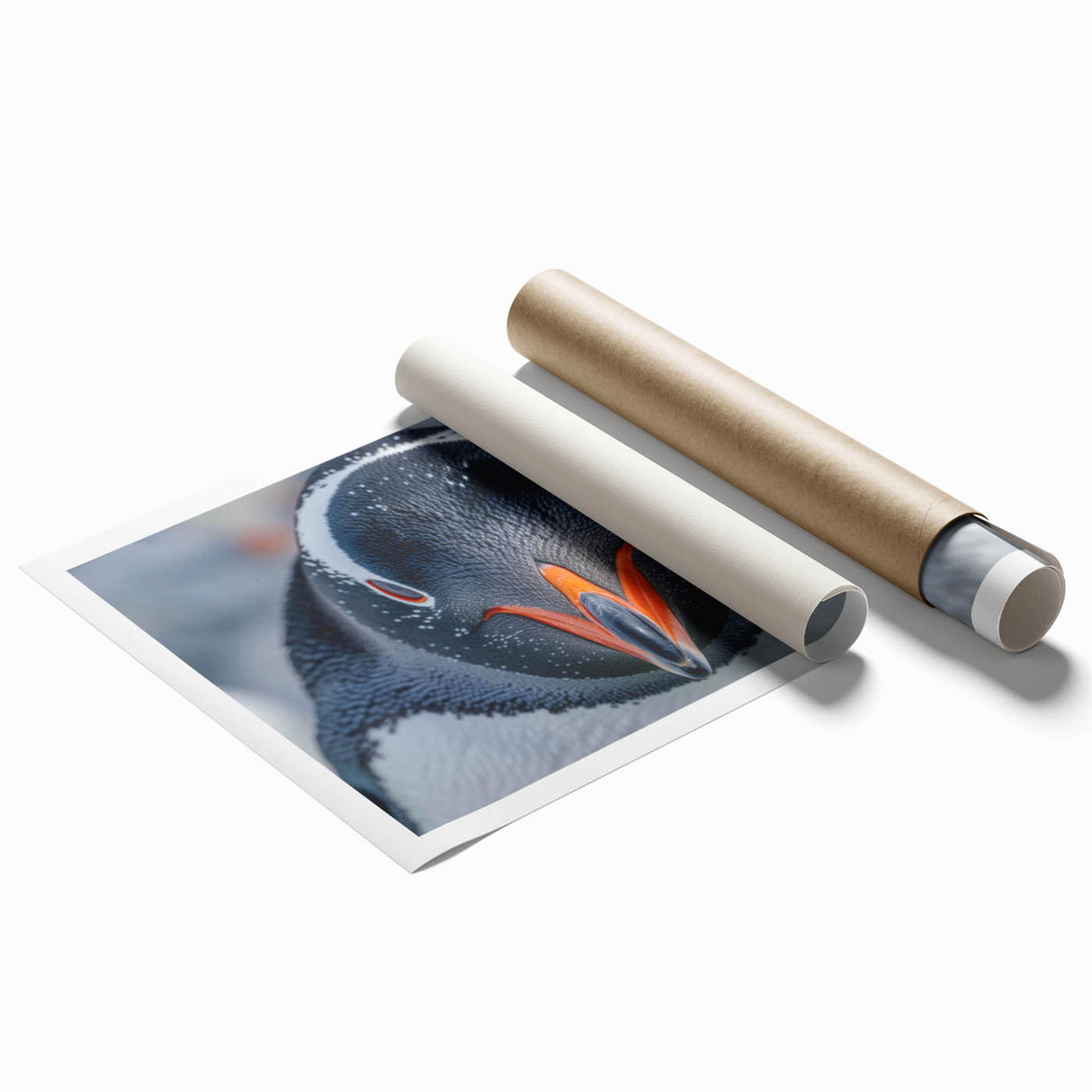 Elegant rolled wall art print depicting a whimsical penguin design in vibrant colors, ideal for children's rooms or animal lovers, presented in a protective cardboard tube.