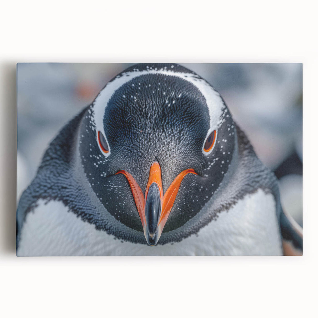 Stretched canvas wall art featuring a vibrant penguin design, showcasing detailed textures and colors, perfect for wildlife-themed decor in any room.