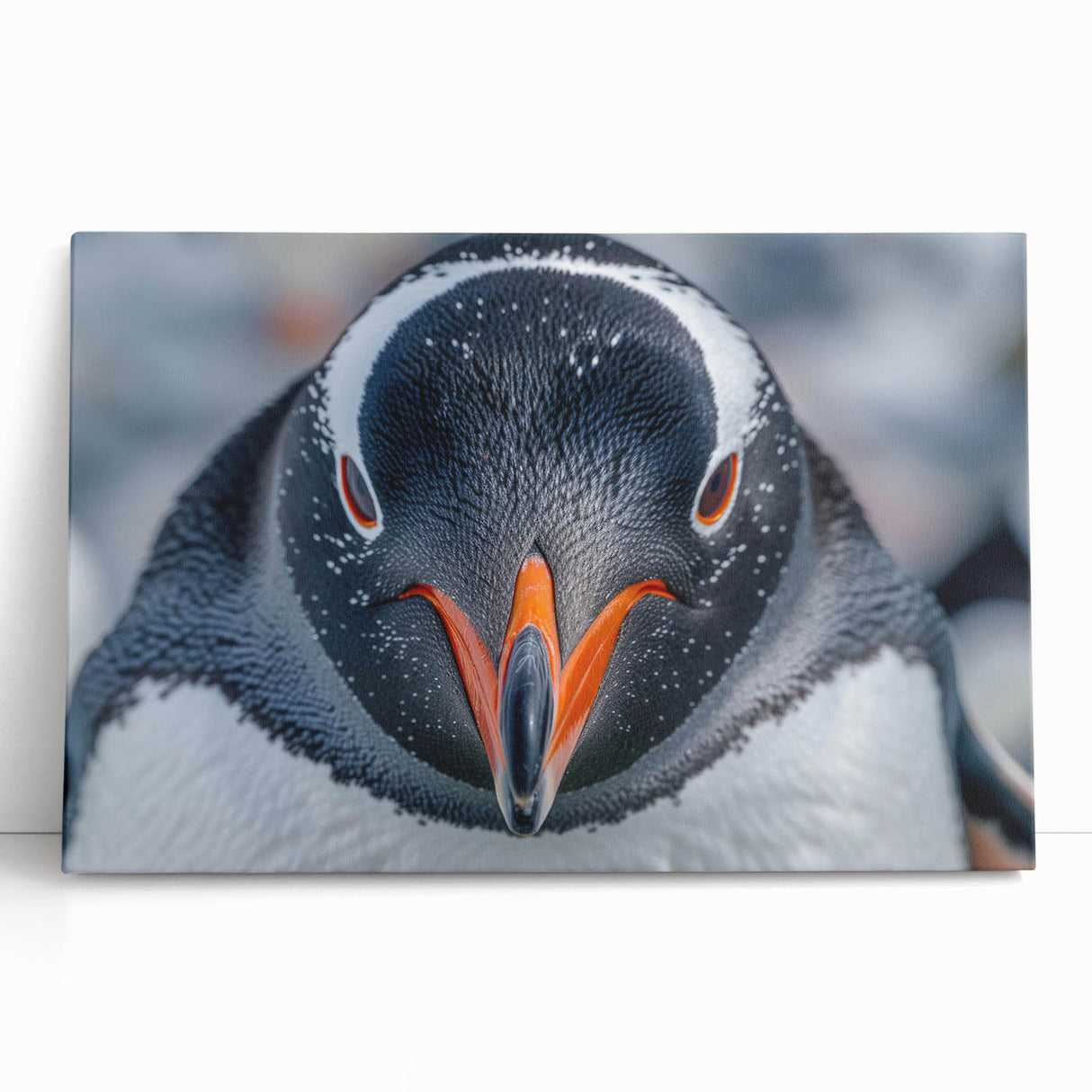 Stretched canvas wall art featuring a vibrant penguin design, showcasing a colorful and playful depiction of wildlife, perfect for animal lovers' home decor.