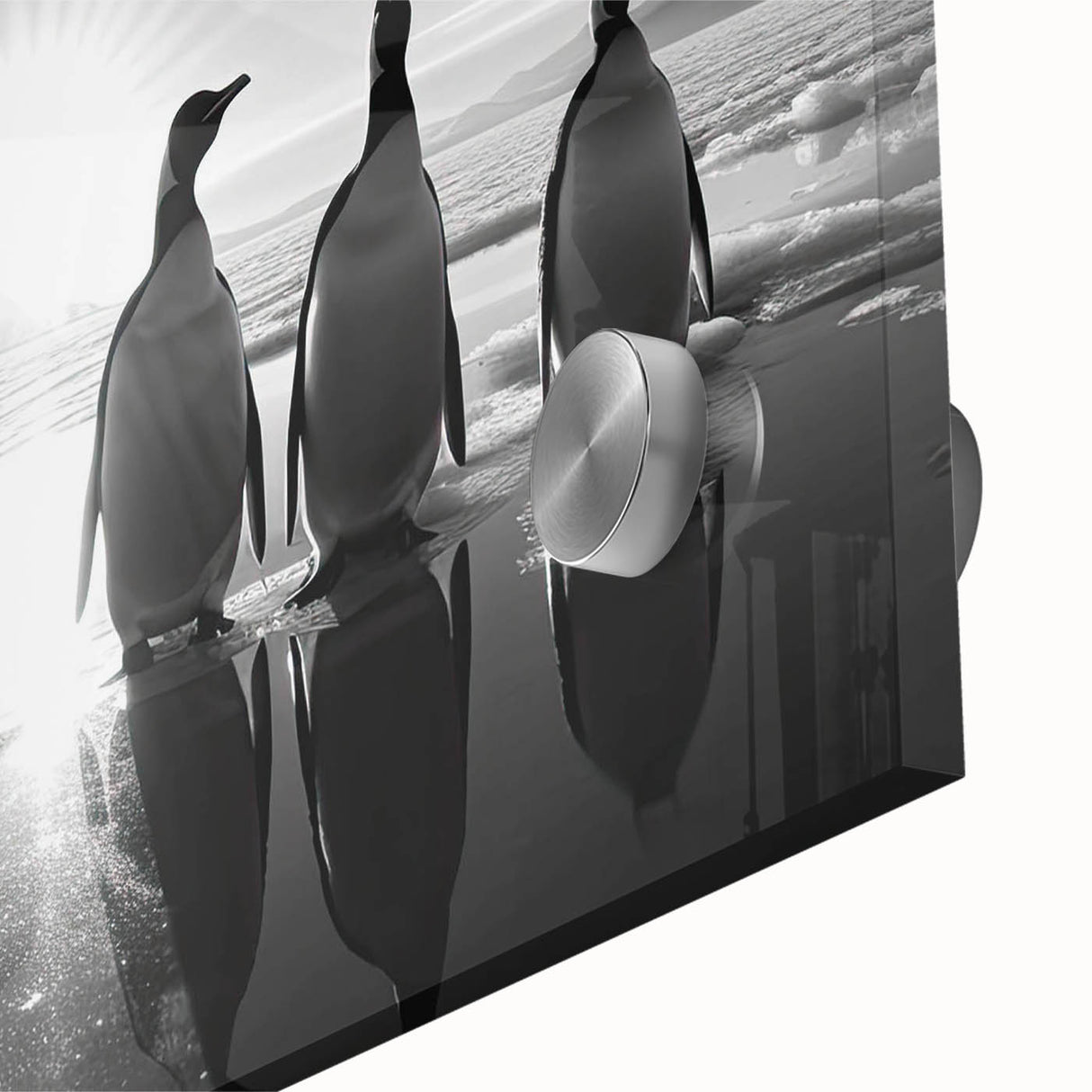 Close-up of a vibrant acrylic glass wall art piece featuring a detailed penguin design, showcasing rich colors and textures, perfect for animal lovers and home décor enthusiasts.