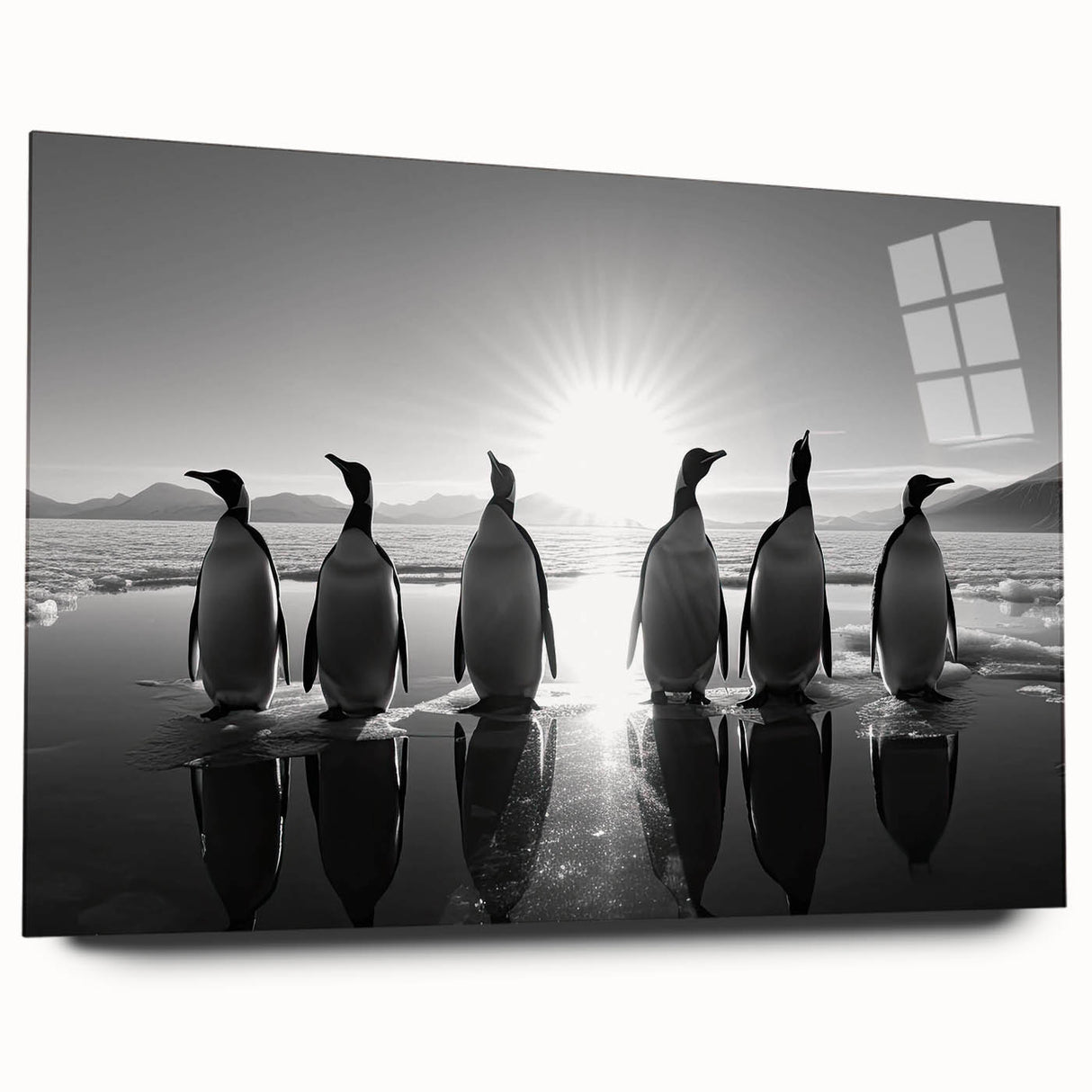 Acrylic glass wall art showcasing a vibrant penguin design from the "Animals A Wild Life" collection, presented in a side view without pins, ideal for animal lovers.
