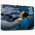 Side view of a modern acrylic wall art piece featuring a whimsical penguin design in vibrant colors, showcasing unique details and artistic flair, suitable for animal lovers and home decor enthusiasts.