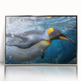 Framed acrylic wall art featuring a stylish penguin design, showcasing vibrant colors and a sleek silver frame, perfect for modern home decor.