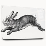 Acrylic glass wall art featuring a whimsical rabbit design from the "Animals A Wild Life" collection, displayed in a side view with decorative pins, ideal for animal lovers.