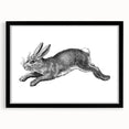 Black-framed wall art featuring a whimsical rabbit design, elegantly matted, suitable for home decor. Ideal for animal lovers and contemporary interiors.