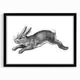 Black-framed wall art featuring a whimsical rabbit design, elegantly matted, suitable for home decor. Ideal for animal lovers and contemporary interiors.