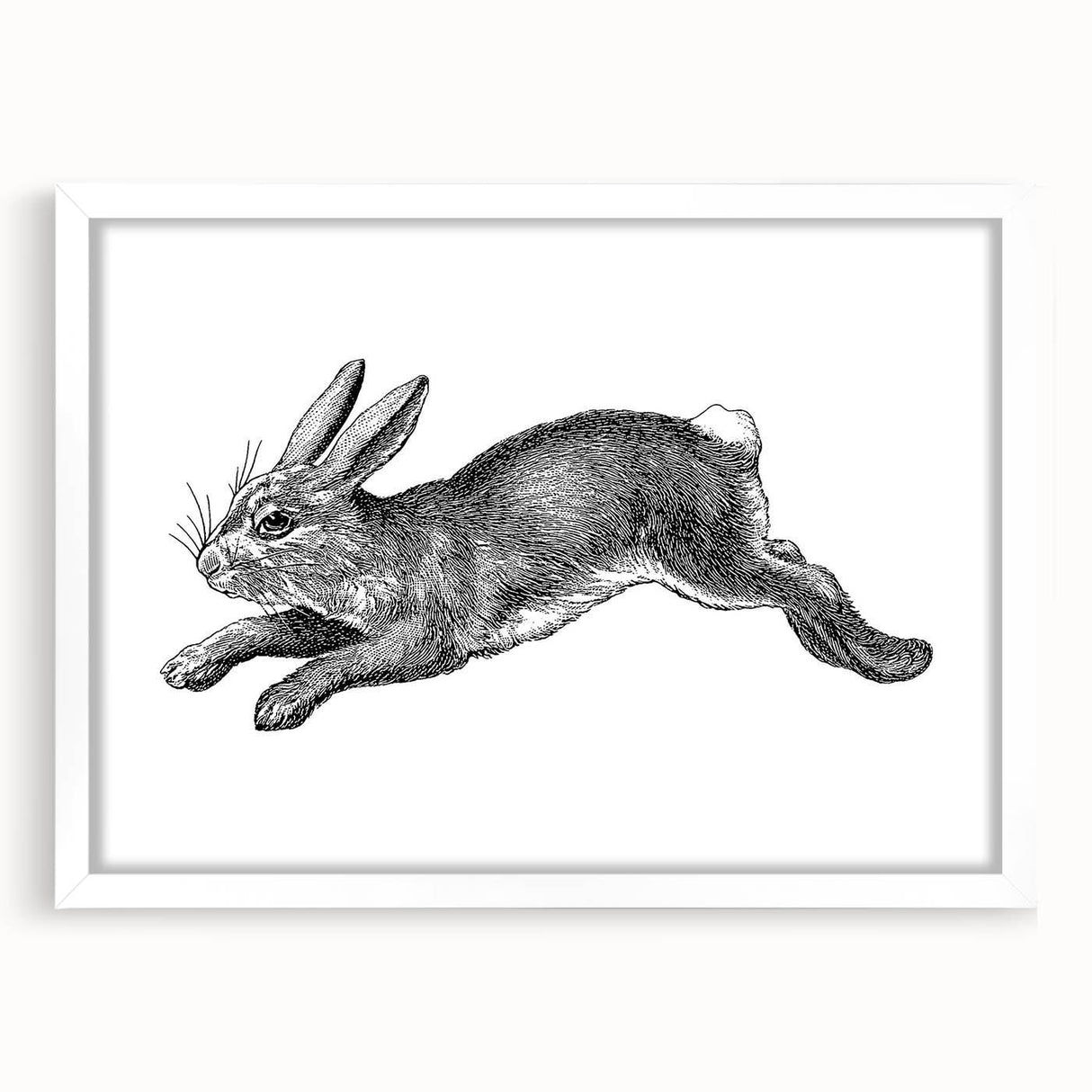 Framed wall art featuring a charming rabbit design from the "Animals A Wild Life" collection, set against a white mat, perfect for adding a whimsical touch to any room.
