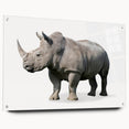 Side view of a rhinoceros wall art design showcased on acrylic glass, featuring intricate details and vibrant colors, perfect for wildlife enthusiasts and home decor.