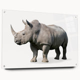 Side view of a rhinoceros wall art design showcased on acrylic glass, featuring intricate details and vibrant colors, perfect for wildlife enthusiasts and home decor.