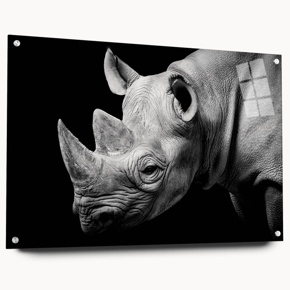 Acrylic wall art featuring a side view of a rhinoceros, designed with vivid colors and intricate details, perfect for wildlife enthusiasts and modern decor.