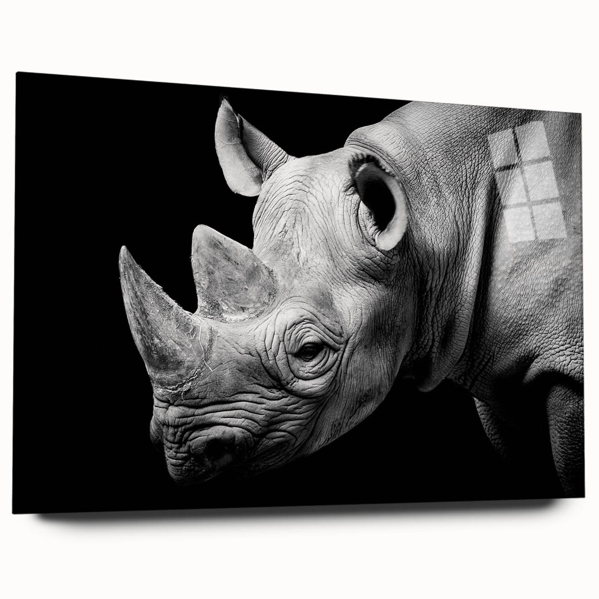 Acrylic wall art featuring a side view of a rhinoceros, showcasing intricate details and vibrant colors, perfect for nature enthusiasts and wildlife decor.