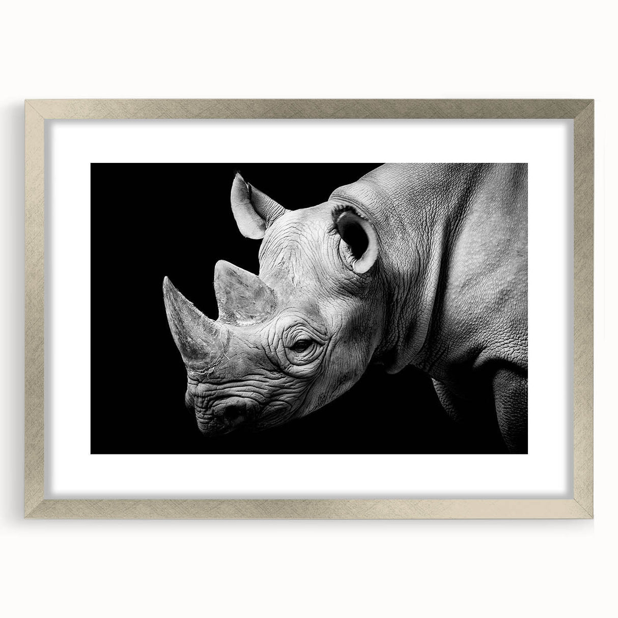 Front view of a framed wall art collection featuring a striking rhinoceros design with a silver mat, perfect for wildlife enthusiasts and modern decor.
