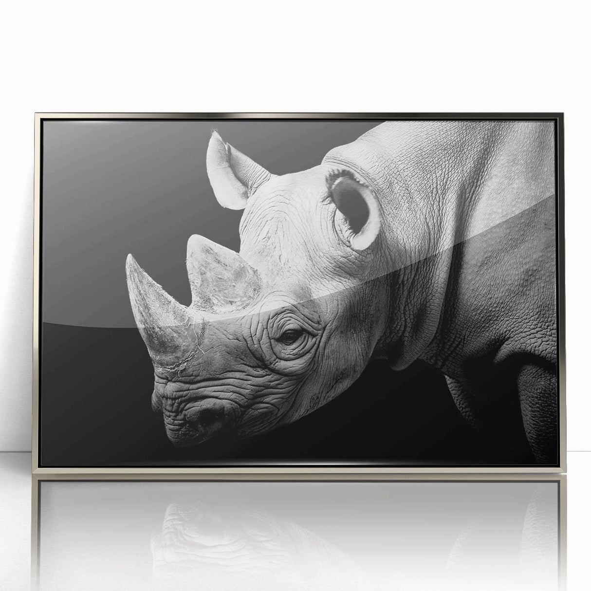 Framed acrylic wall art showcasing a front view of a rhinoceros, featuring intricate details and a silver finish, perfect for wildlife enthusiasts and modern decor.