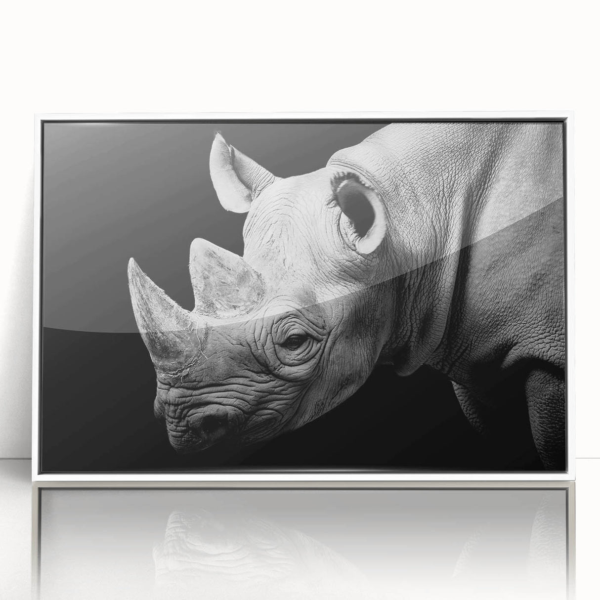 Framed wall art featuring a white-front view of a rhinoceros design, showcasing intricate details and vibrant colors, perfect for wildlife enthusiasts and modern decor.